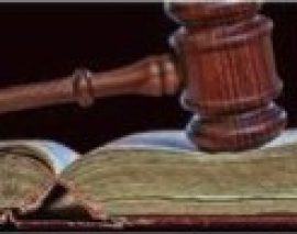 TMG expands with expert services